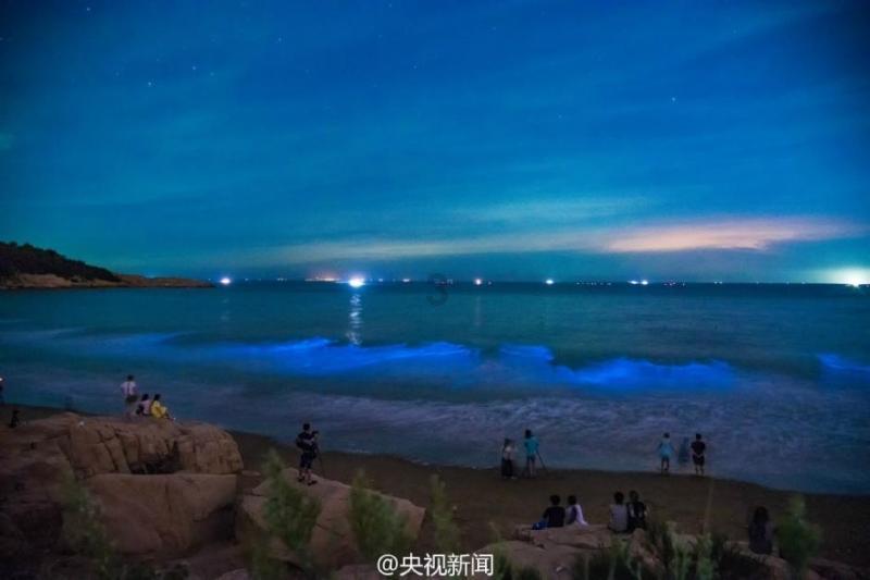 小长颈鹿逃离